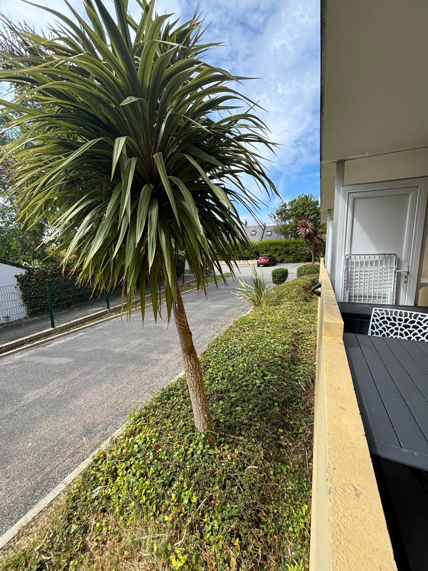 Appartement Studio 4 Personnes Dans Residence Avec Piscine Quiberon Εξωτερικό φωτογραφία